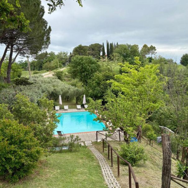 uliveto e piscina Villa Remignoli