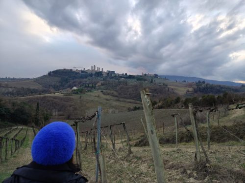 Paesaggio collinare